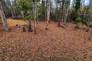 32 Bran Rick Ln, Arden, NC 28704 - Photo 3