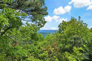 1795 McKenzie Way N, Old Fort, NC 28762 - Photo 31