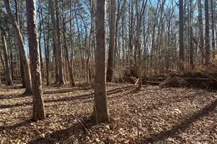 15 009 Acres Archer Rd, Davidson, NC 28036 - Photo 13