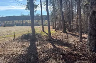 15 009 Acres Archer Rd, Davidson, NC 28036 - Photo 11