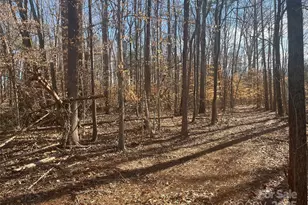 15 009 Acres Archer Rd, Davidson, NC 28036 - Photo 7