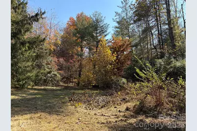 276 Cedar Creek Road, Black Mountain, NC 28711 - Photo 5
