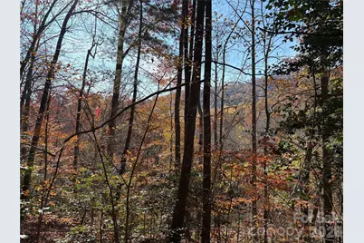 276 Cedar Creek Road, Black Mountain, NC 28711 - Photo 13