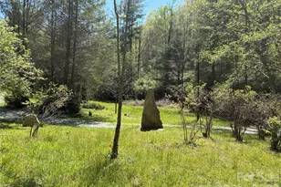 276 Cedar Creek Rd, Black Mountain, NC 28711 - Photo 1