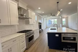 8070 Blackwood Rd, Denver, NC 28037 - Photo 9