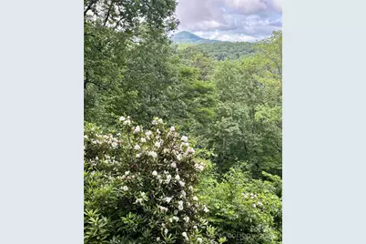 620 Glenview Road, Newland, NC 28657 - Photo 39