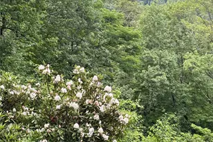 620 Glenview Rd, Newland, NC 28657 - Photo 39