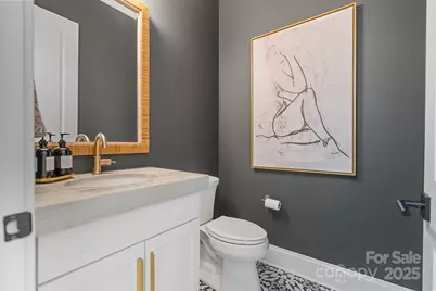 748 Amalfi Drive, Davidson, NC 28036 - Photo 25