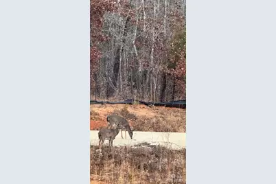 122 Cotton Creek Drive, Troutman, NC 28166 - Photo 33