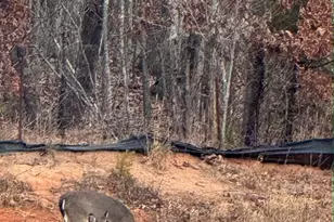 122 Cotton Creek Dr, Troutman, NC 28166 - Photo 33