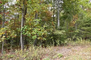 100 Sunset Dr, Bostic, NC 28018 - Photo 1