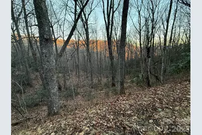 Lot 32 Bear Hollow Road #32, Waynesville, NC 28785 - Photo 3