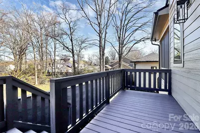 1505 Grace Street, Charlotte, NC 28205 - Photo 47