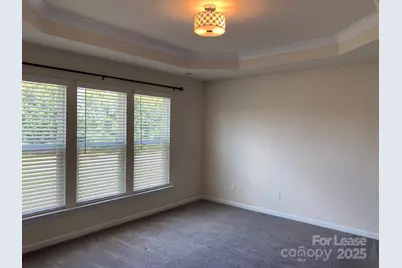 905 Wicawa Road, Fort Mill, SC 29708 - Photo 17