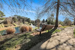 617 Goldflower Dr, Rock Hill, SC 29732 - Photo 21