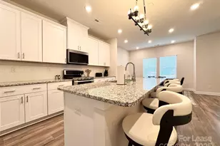 4513 Millennium Ave, Charlotte, NC 28217 - Photo 5