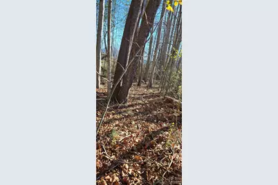 Lot 3 Turtle Rock Lane, Waynesville, NC 28785 - Photo 17