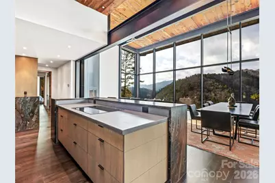 112 Moon Shadow Lane, Marshall, NC 28753 - Photo 21