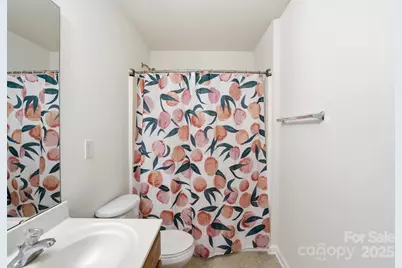 5006 Paddle Wheel Lane, Indian Trail, NC 28079 - Photo 39