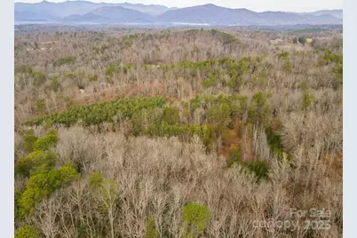 380 Buttercup Lane, Marion, NC 28752 - Photo 9