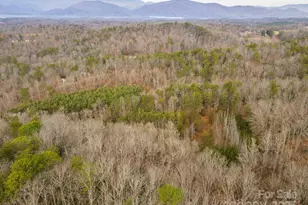 380 Buttercup Ln, Marion, NC 28752 - Photo 9