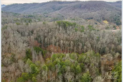 380 Buttercup Lane, Marion, NC 28752 - Photo 21