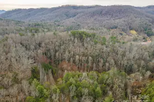 380 Buttercup Ln, Marion, NC 28752 - Photo 21