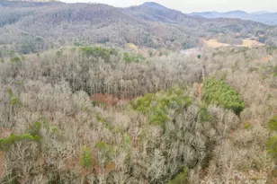 380 Buttercup Ln, Marion, NC 28752 - Photo 19