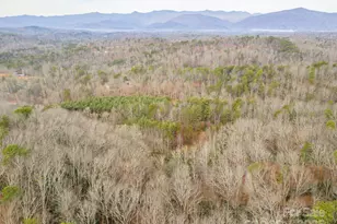 380 Buttercup Ln, Marion, NC 28752 - Photo 11