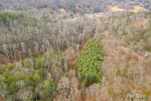 380 Buttercup Ln, Marion, NC 28752 - Photo 23