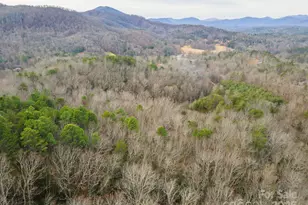 380 Buttercup Ln, Marion, NC 28752 - Photo 17