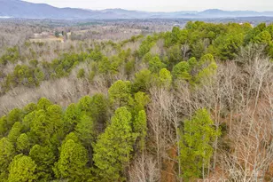 380 Buttercup Ln, Marion, NC 28752 - Photo 15