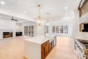 16207 Henry Ln, Huntersville, NC 28078 - Photo 13