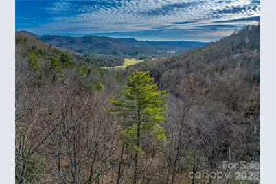 10 Villa Nova Drive, Asheville, NC 28804 - Photo 5