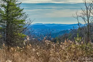 10 Villa Nova Dr, Asheville, NC 28804 - Photo 1