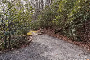 155 Mull Cove Rd, Maggie Valley, NC 28751 - Photo 19