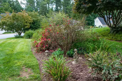 245 Riverbirch Drive, Fletcher, NC 28732 - Photo 45