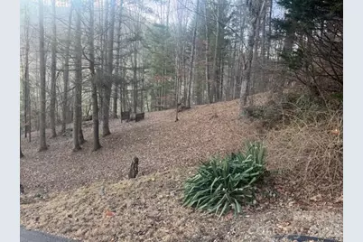 1372 Lickskillet Road, Burnsville, NC 28714 - Photo 3