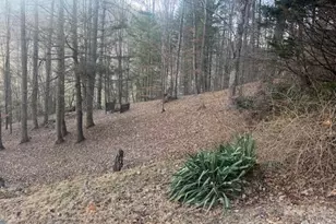 1372 Lickskillet Rd, Burnsville, NC 28714 - Photo 3