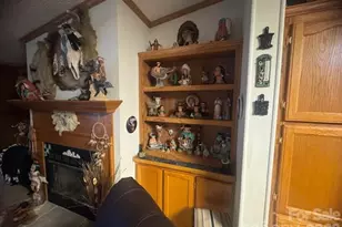 1372 Lickskillet Rd, Burnsville, NC 28714 - Photo 15