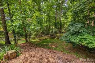 1372 Lickskillet Rd, Burnsville, NC 28714 - Photo 39