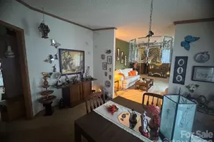 1372 Lickskillet Rd, Burnsville, NC 28714 - Photo 21