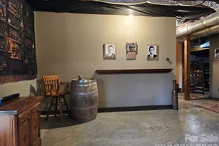 45 Baton Ln, Asheville, NC 28803 - Photo 43