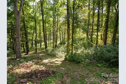 19 Keeping Kyle Crossing, Asheville, NC 28804 - Photo 11