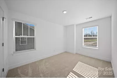 45 Moon Haven Way, Arden, NC 28704 - Photo 19