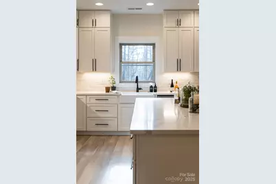 1217 Ugugu Drive, Brevard, NC 28712 - Photo 13