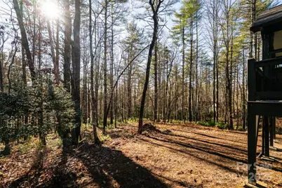 1217 Ugugu Drive, Brevard, NC 28712 - Photo 39