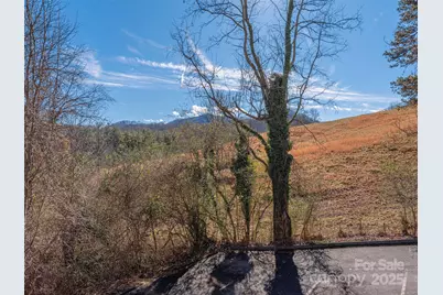 53 Vancott Court, Clyde, NC 28721 - Photo 13