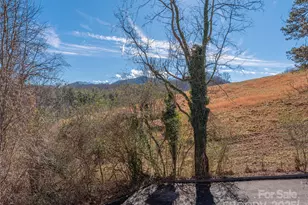 53 Vancott Ct, Clyde, NC 28721 - Photo 13