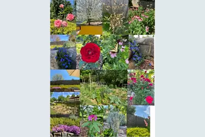 52 East Street, Asheville, NC 28803 - Photo 47